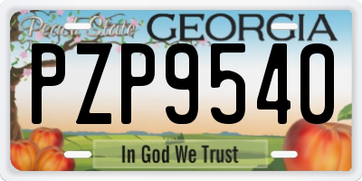 GA license plate PZP9540