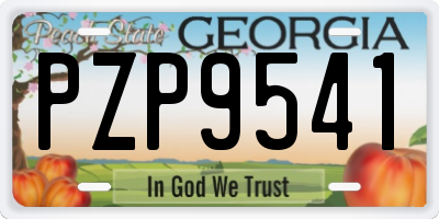 GA license plate PZP9541