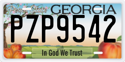 GA license plate PZP9542