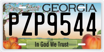 GA license plate PZP9544
