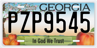 GA license plate PZP9545