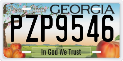 GA license plate PZP9546
