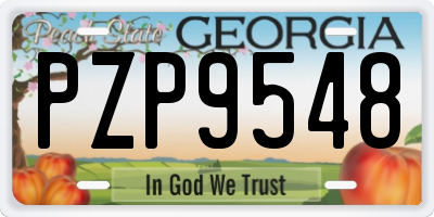 GA license plate PZP9548