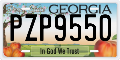 GA license plate PZP9550