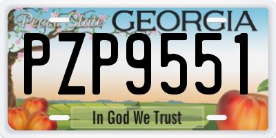 GA license plate PZP9551
