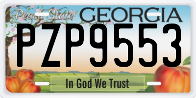 GA license plate PZP9553