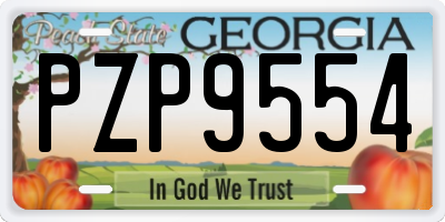 GA license plate PZP9554