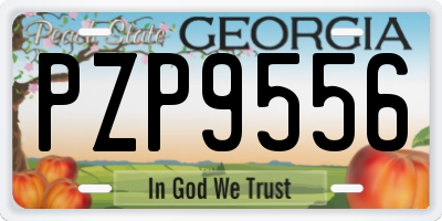 GA license plate PZP9556