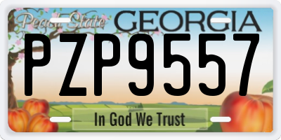 GA license plate PZP9557