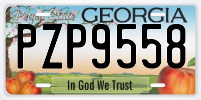 GA license plate PZP9558