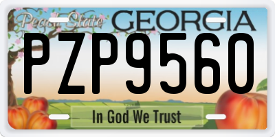 GA license plate PZP9560