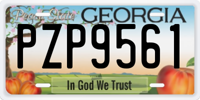 GA license plate PZP9561