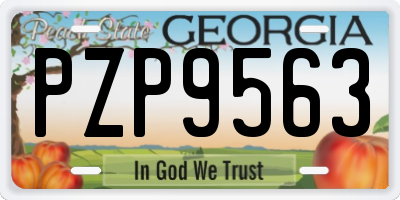 GA license plate PZP9563