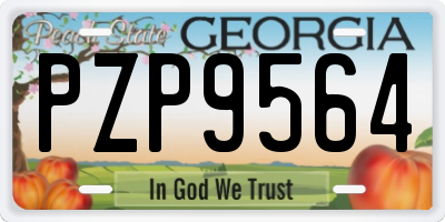 GA license plate PZP9564