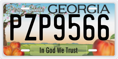 GA license plate PZP9566