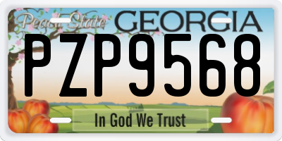 GA license plate PZP9568