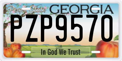 GA license plate PZP9570