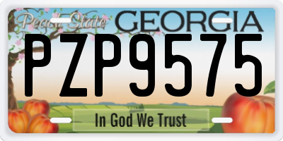 GA license plate PZP9575