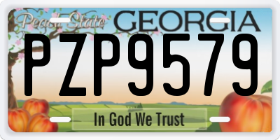 GA license plate PZP9579