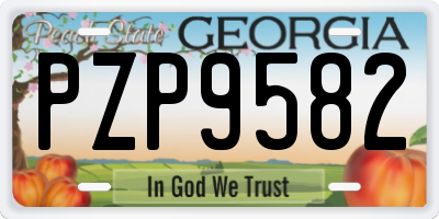 GA license plate PZP9582