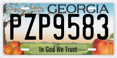 GA license plate PZP9583