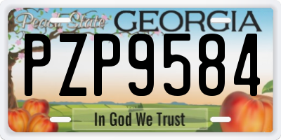 GA license plate PZP9584