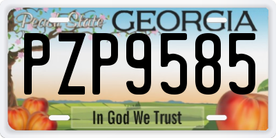 GA license plate PZP9585