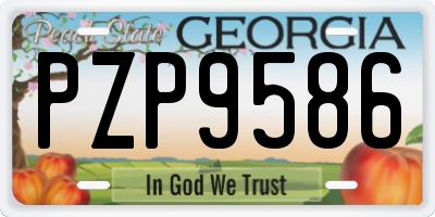 GA license plate PZP9586