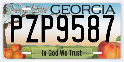 GA license plate PZP9587