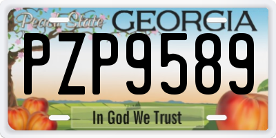 GA license plate PZP9589