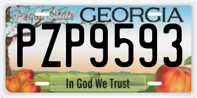 GA license plate PZP9593