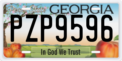 GA license plate PZP9596