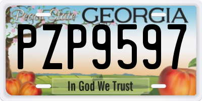 GA license plate PZP9597
