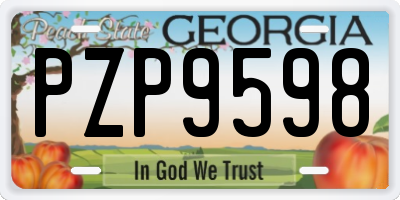 GA license plate PZP9598