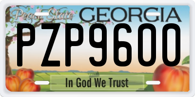 GA license plate PZP9600