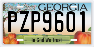 GA license plate PZP9601