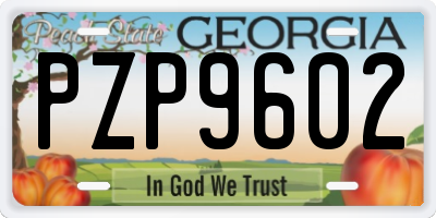 GA license plate PZP9602