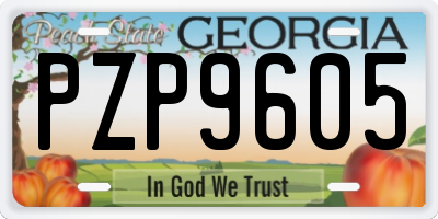 GA license plate PZP9605