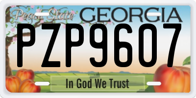 GA license plate PZP9607