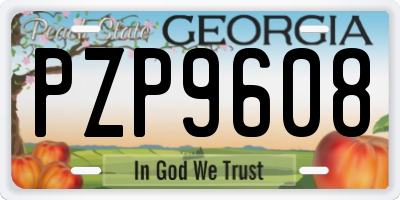 GA license plate PZP9608