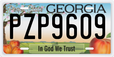 GA license plate PZP9609