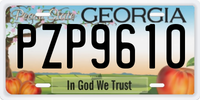 GA license plate PZP9610