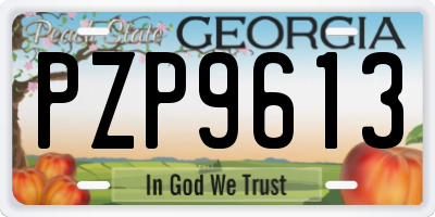 GA license plate PZP9613