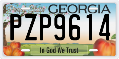 GA license plate PZP9614