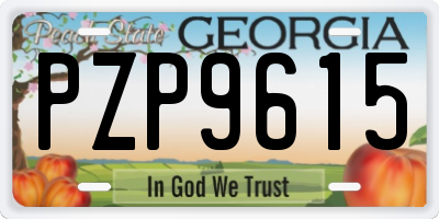 GA license plate PZP9615