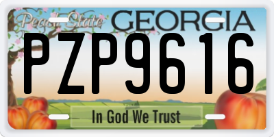 GA license plate PZP9616