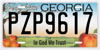 GA license plate PZP9617