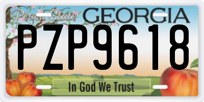 GA license plate PZP9618