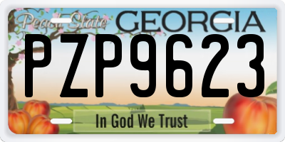 GA license plate PZP9623