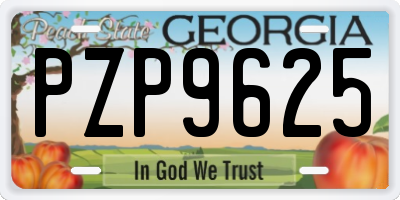 GA license plate PZP9625
